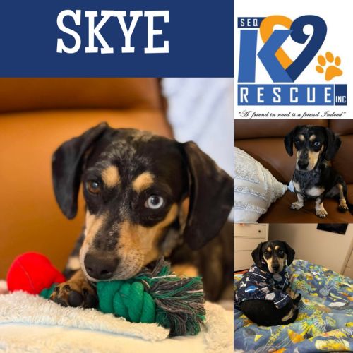 Skye