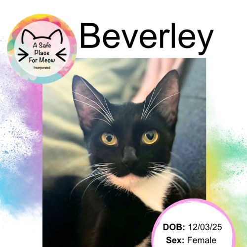 No photo for Beverley