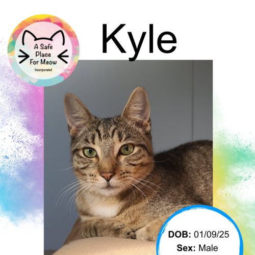 No photo for Kyle