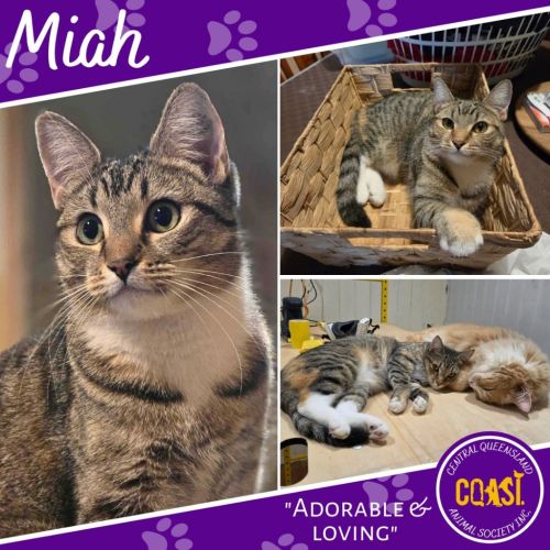 Miah