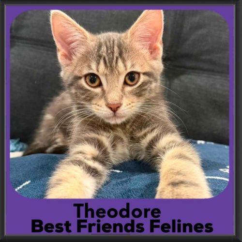 Theodore