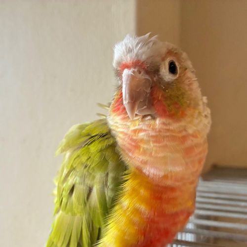 No photo for Marty
