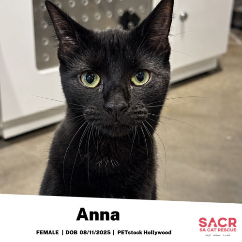 No photo for Anna