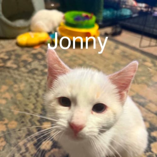Jonny 