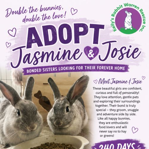 Jasmine and Josie