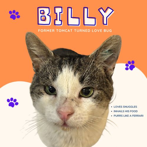 Billy