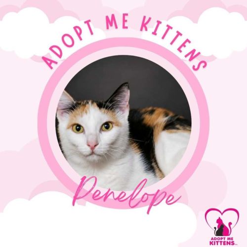 Penelope