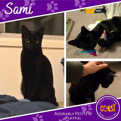 Sami