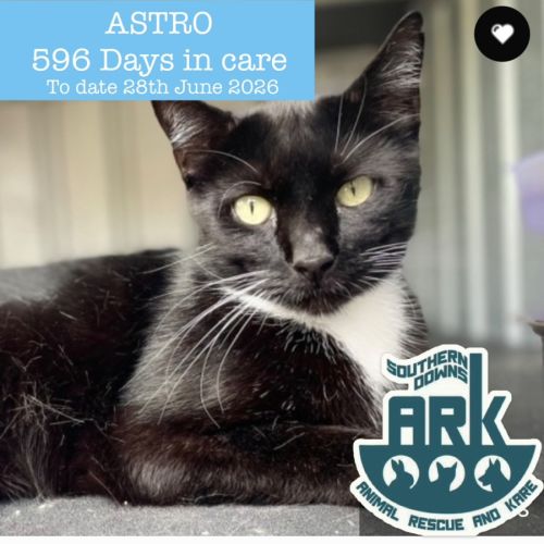 Astro
