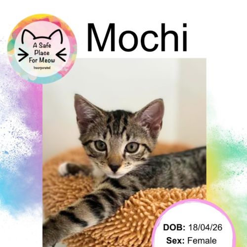 Mochi