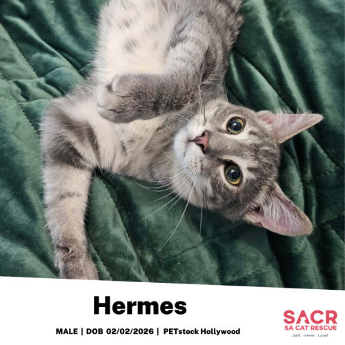 Hermes