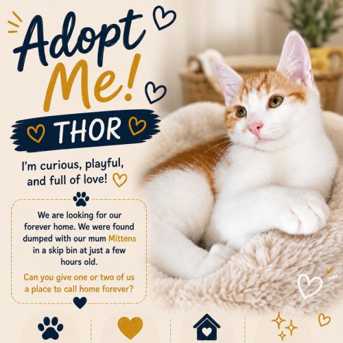 Thor