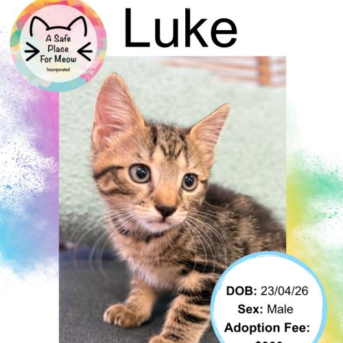 Luke