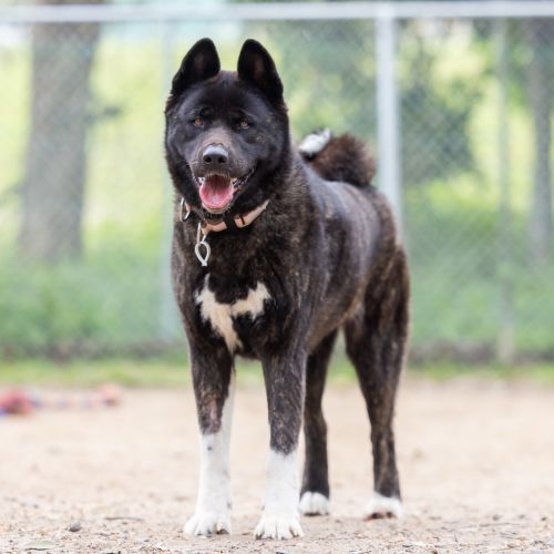 Kita
