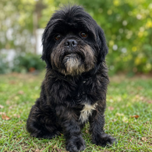 Marley