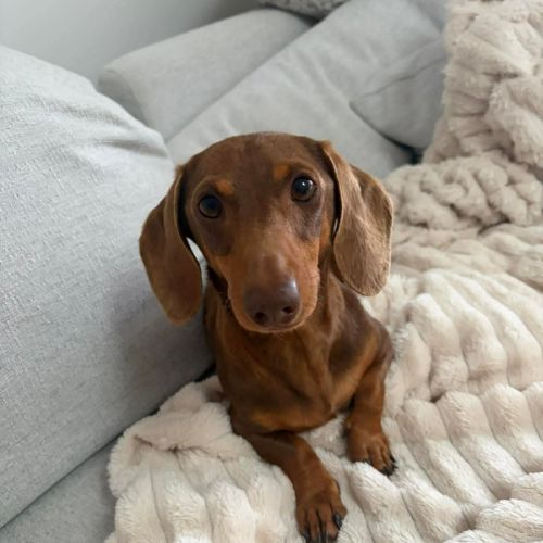 Hazel ⭐️ 