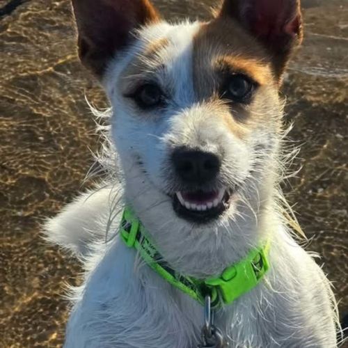 JD
