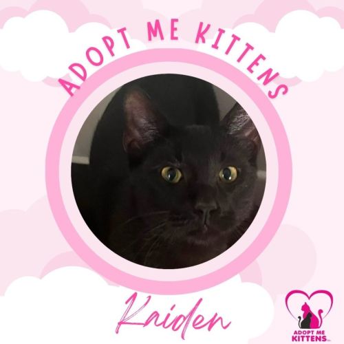 Kaiden