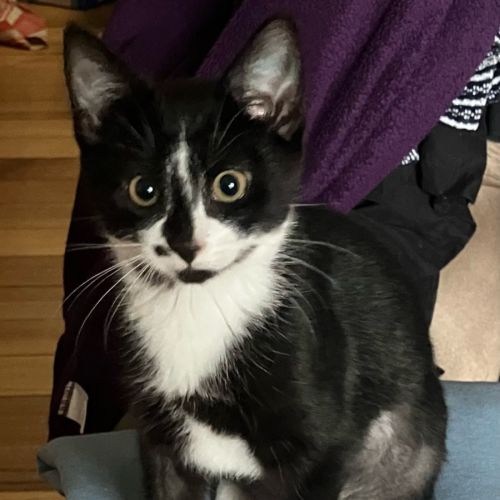 Luna