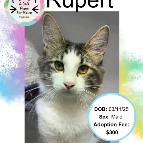 Rupert