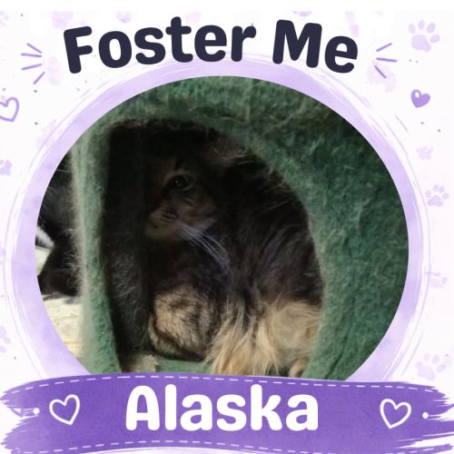 Alaska
