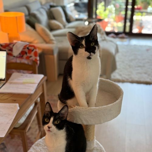 Buster & Harry