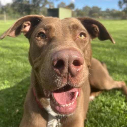 Zoe