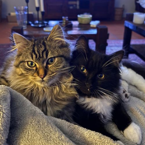 George Michael & Maeby 
