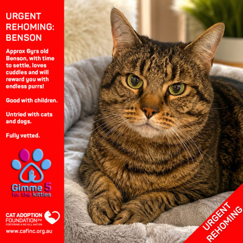 No photo for Benson