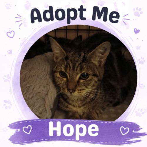 Hope
