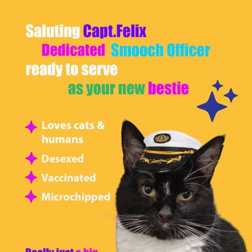 Captain Felix