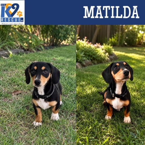 Matilda