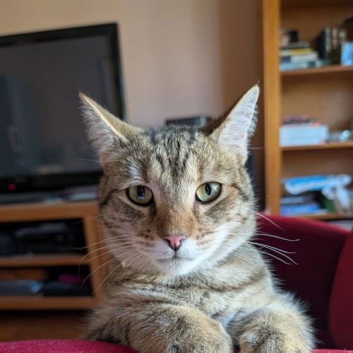 Marty