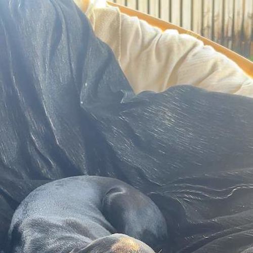 Lexi