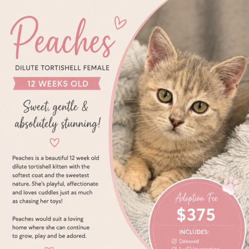 Peaches