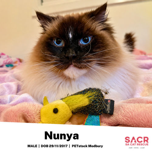 Nunya