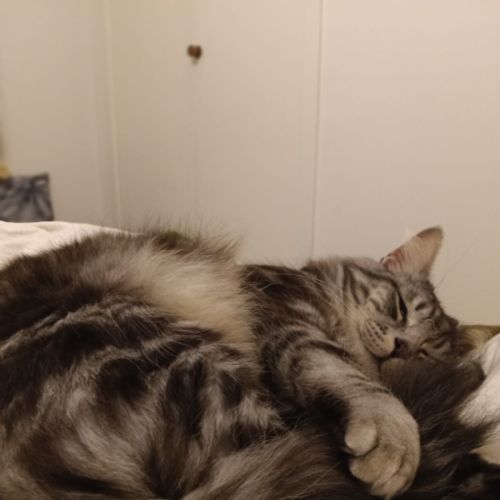 Gideon