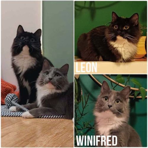 14283 & 14284 - Leon & Winifred