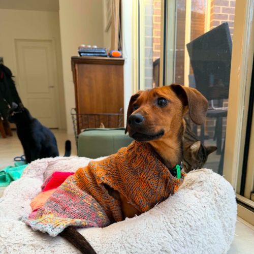Coco