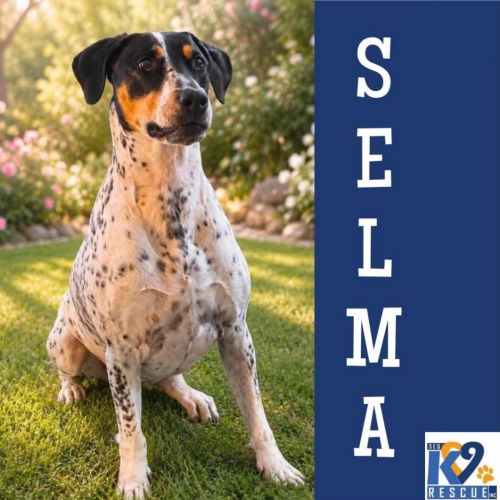 Selma