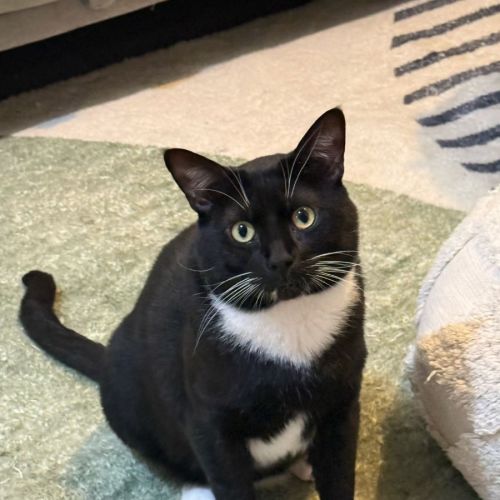 Frankie