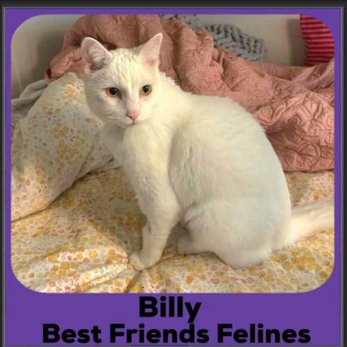 Billy 