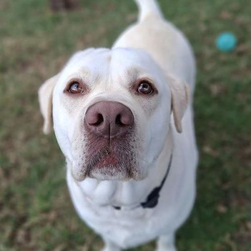 Max