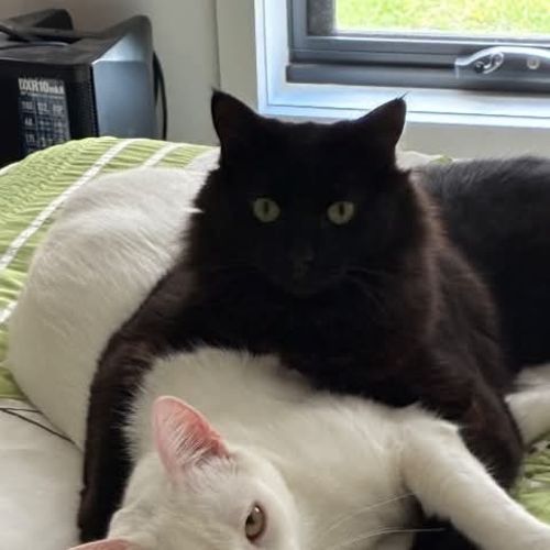 Lenny / Davey