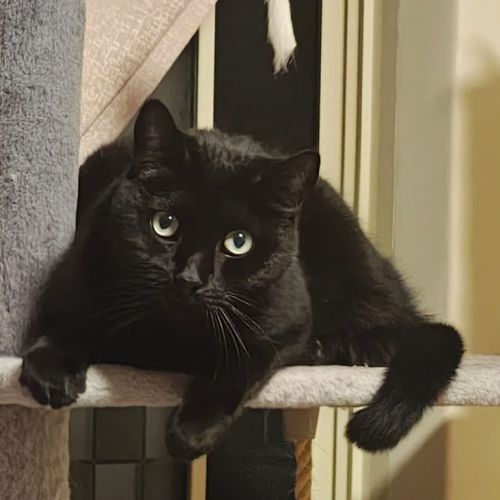 Charlie