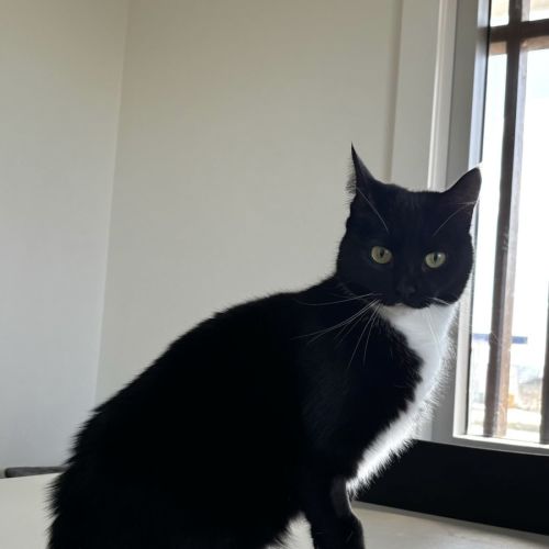 Fiona