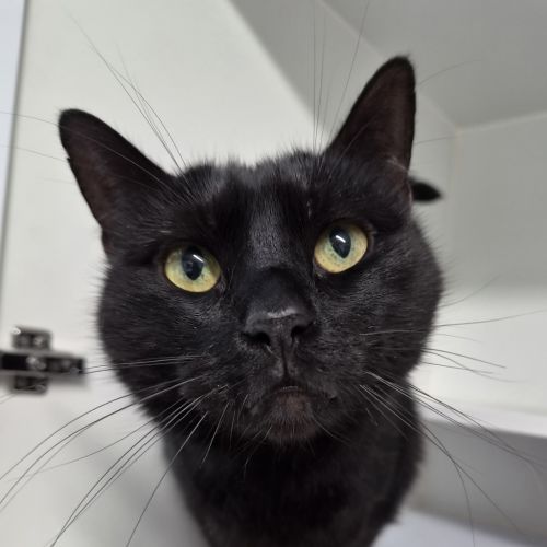Sebastian 