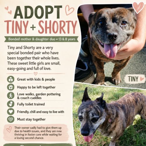 Tiny and Shorty 💜