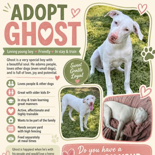 Ghost