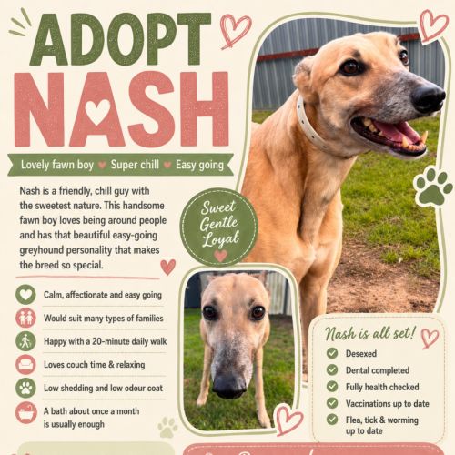 Nash